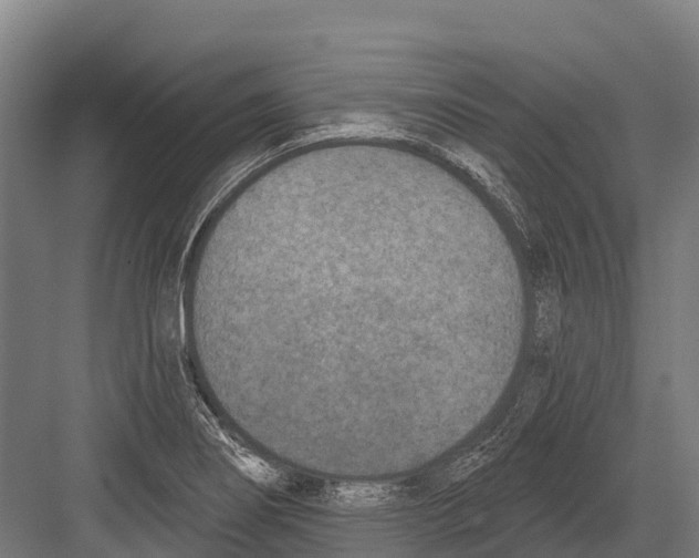 X0000081581274200702121438