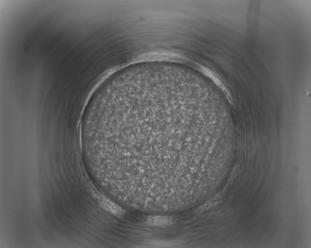 X0000081581275200702121438