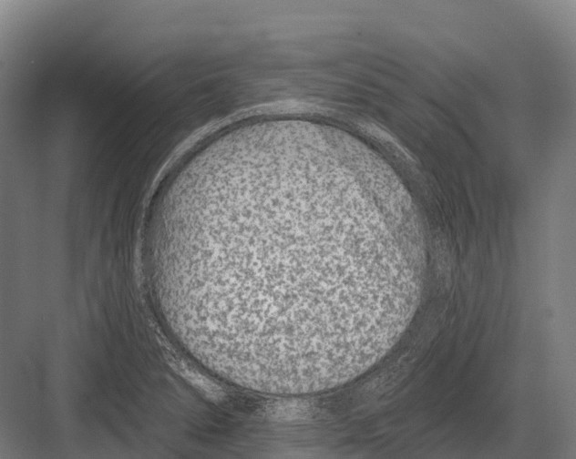 X0000081581278200702121438