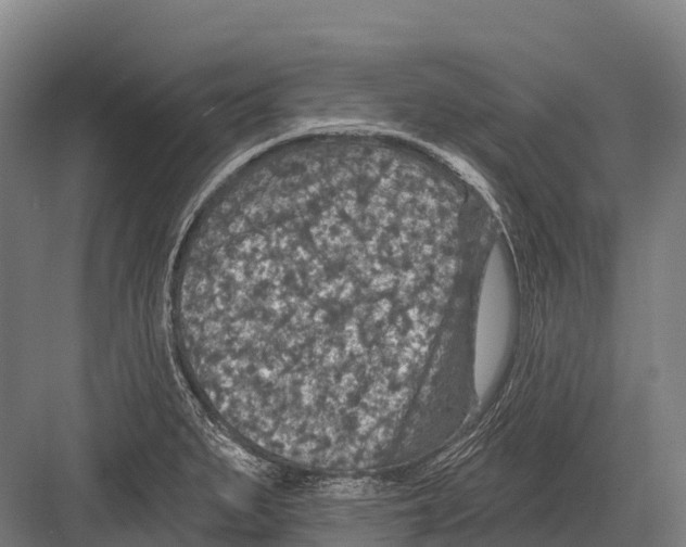 X0000081581279200702121438