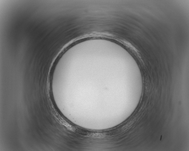 X0000081581280200702121438