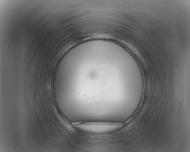 X0000081581281200702121438