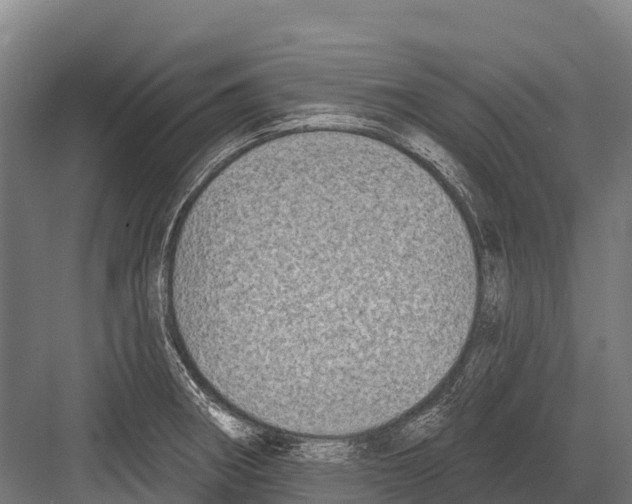 X0000081581282200702121438