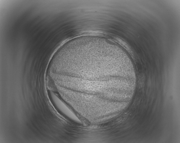 X0000081581283200702121438