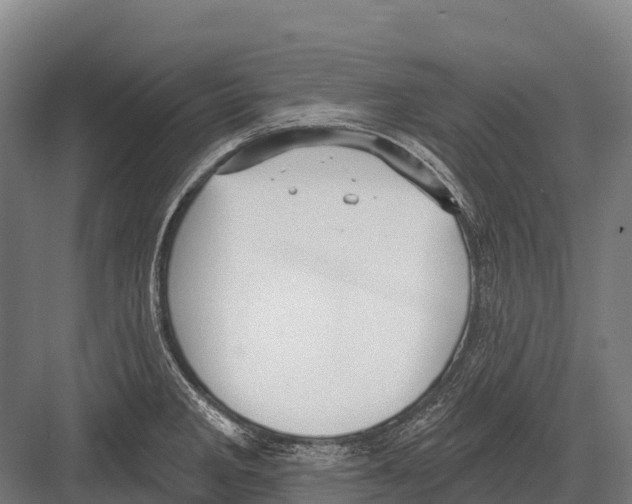 X0000081581285200702121438