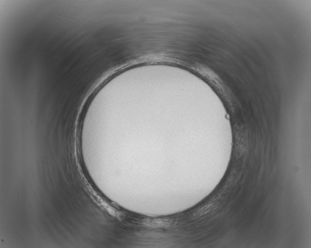 X0000081581286200702121438