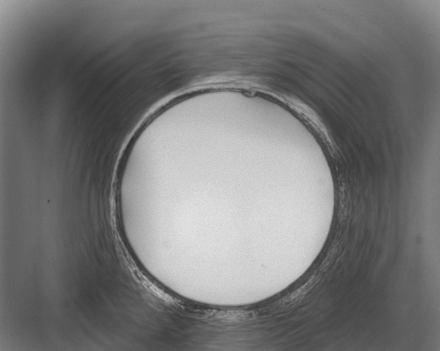 X0000081581288200702121438