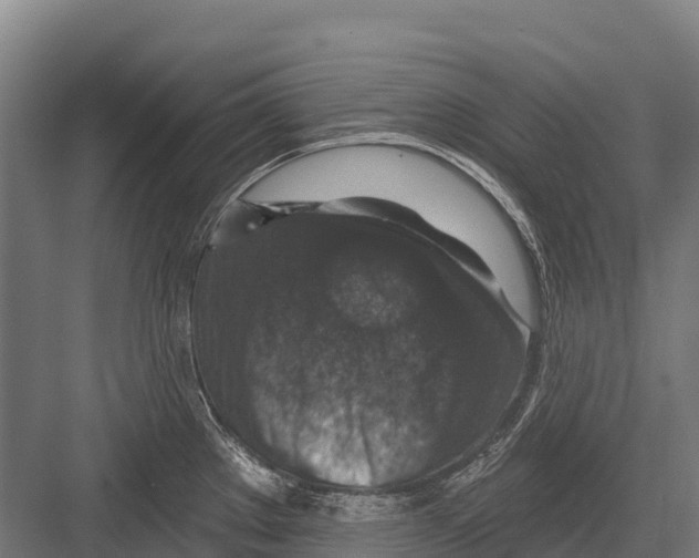 X0000081581289200702121438