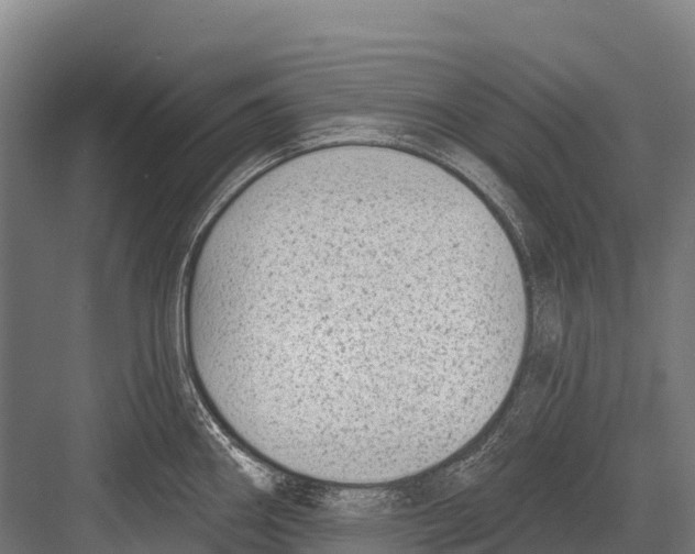 X0000081581290200702121438