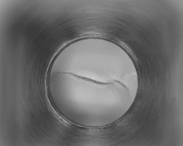 X0000081581291200702121438