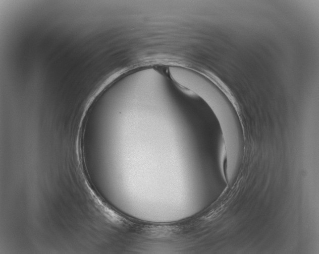 X0000081581293200702121438