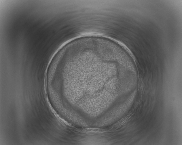 X0000081581295200702121438