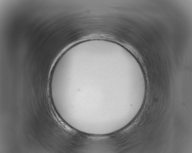 X0000081581296200702121438