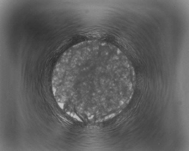 X0000081581297200702121437