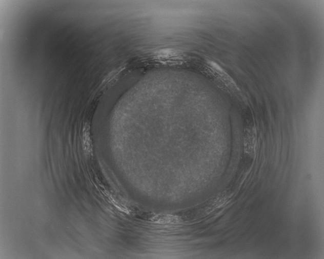 X0000081581298200702121437