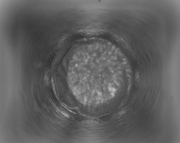 X0000081581300200702121437