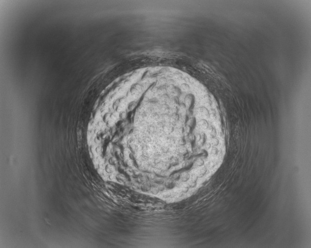 X0000081581302200702121437