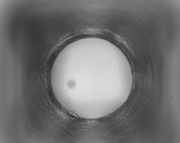 X0000081581304200702121437