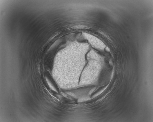 X0000081581305200702121437