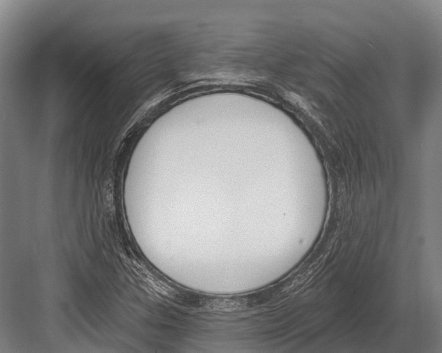 X0000081581307200702121437