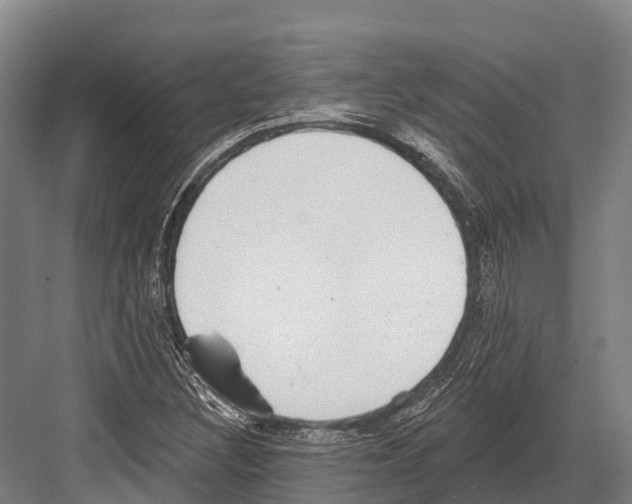 X0000081581308200702121437