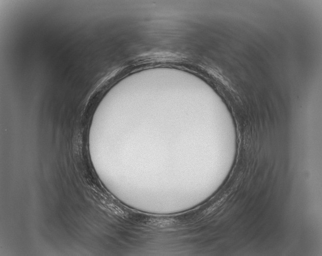 X0000081581309200702121437