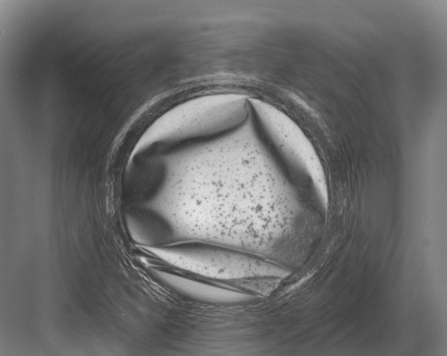 X0000081581310200702121437