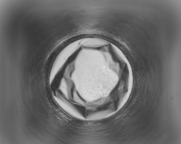 X0000081581311200702121437