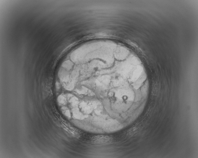 X0000081581314200702121437