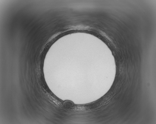 X0000081581315200702121437