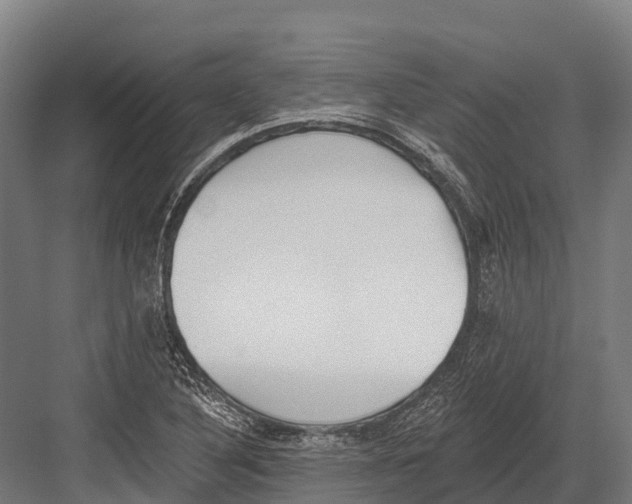 X0000081581316200702121437