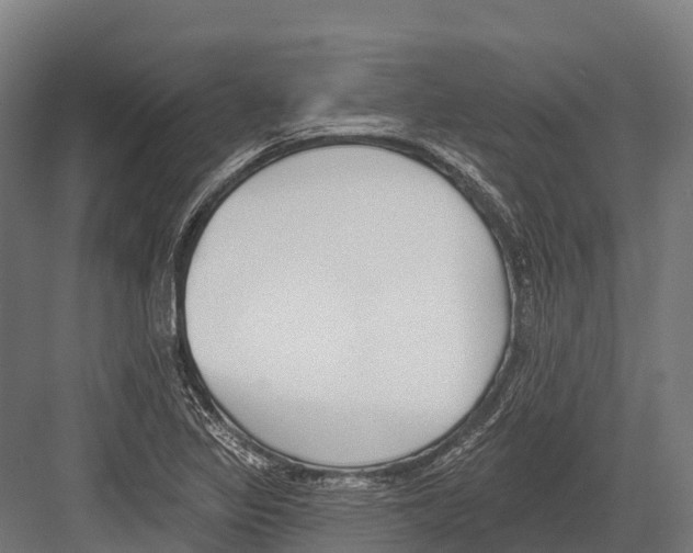 X0000081581317200702121437