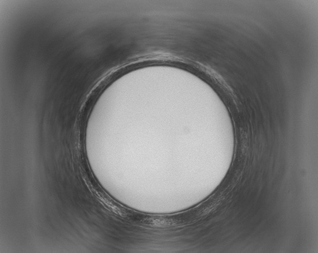 X0000081581318200702121437