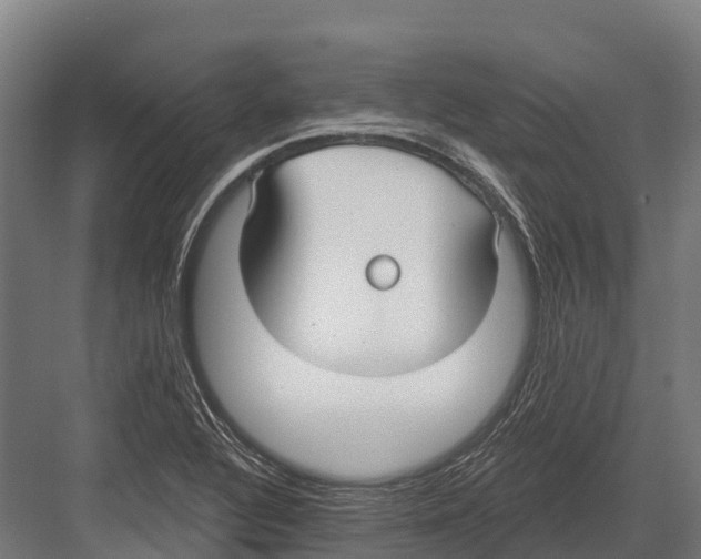 X0000081581320200702121437