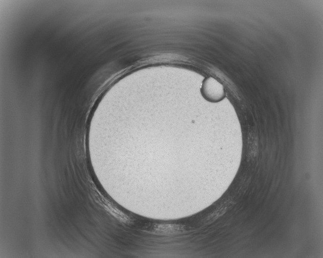 X0000081581322200702121437