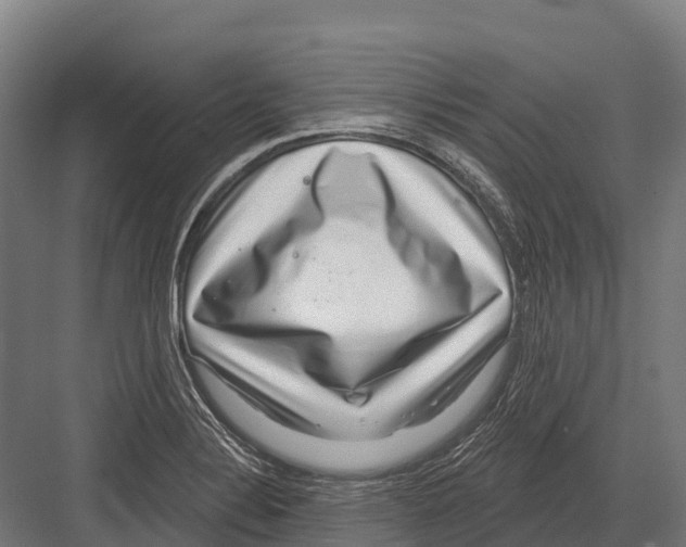 X0000081581324200702121437