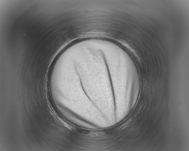 X0000081581325200702121437