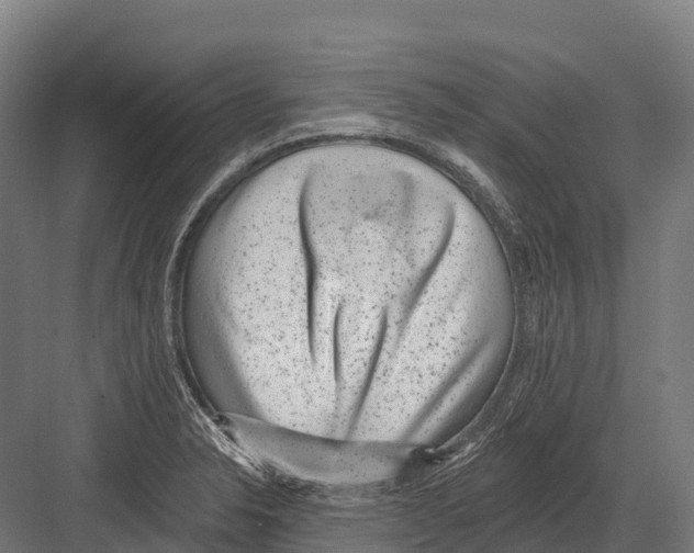 X0000081581326200702121437