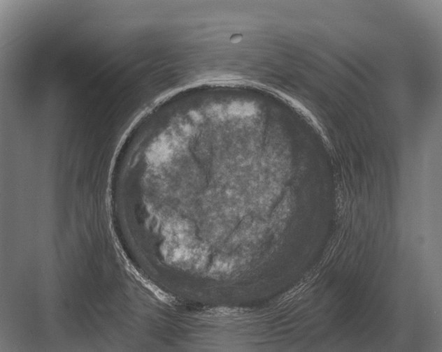 X0000081581327200702121437