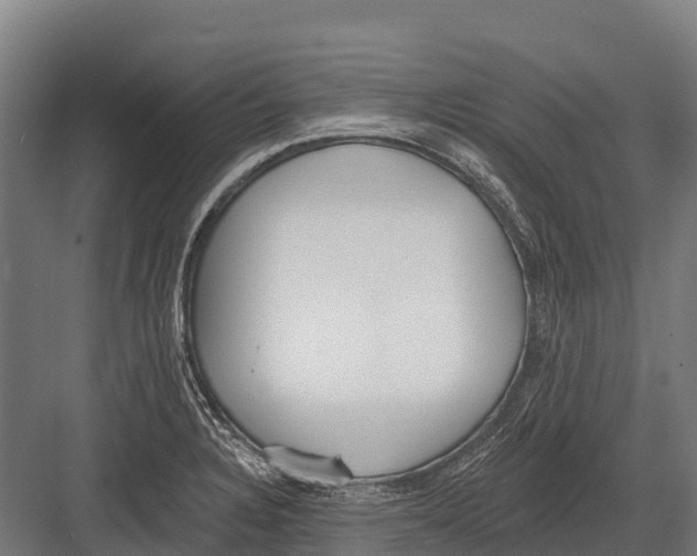 X0000081581328200702121437