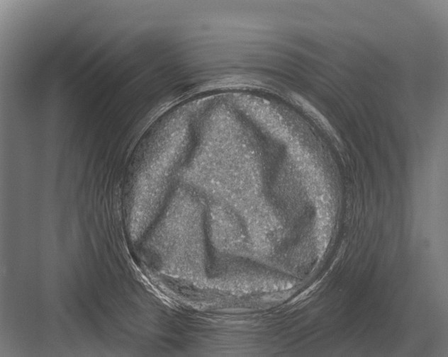 X0000081581329200702121437