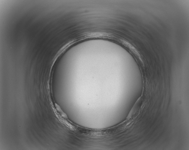 X0000081581330200702121437