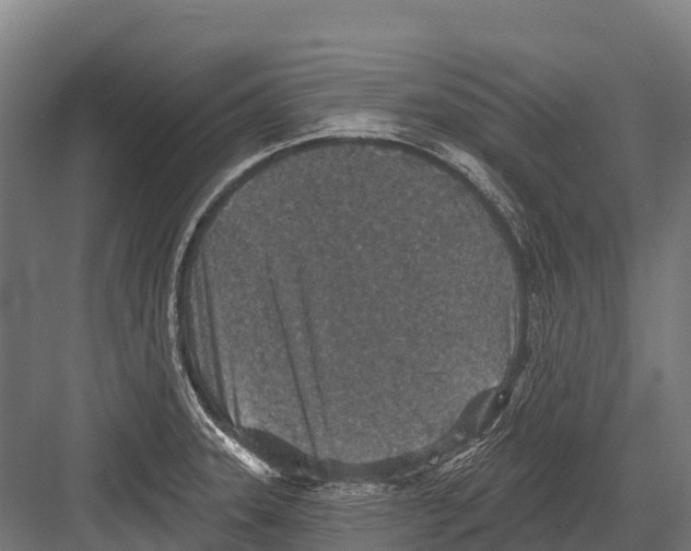 X0000081581331200702121437