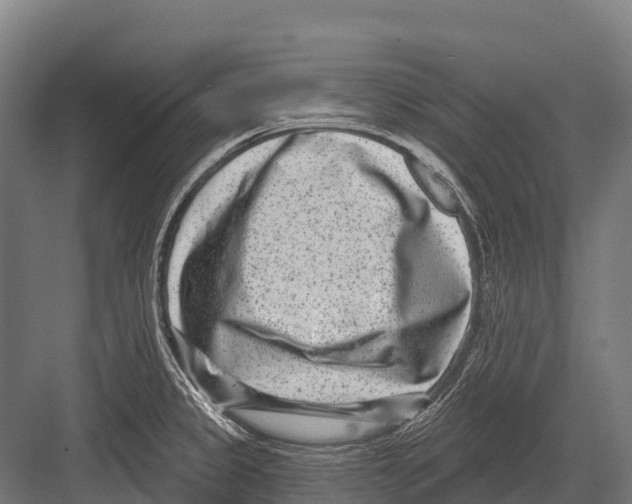 X0000081581333200702121438