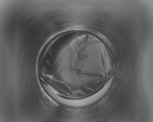 X0000081581334200702121438