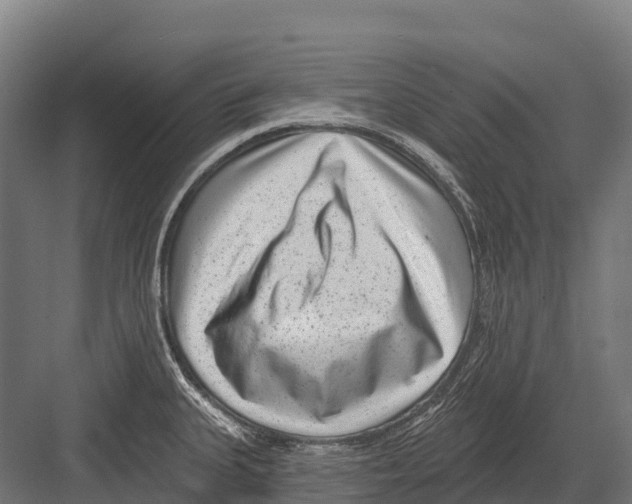 X0000081581335200702121438