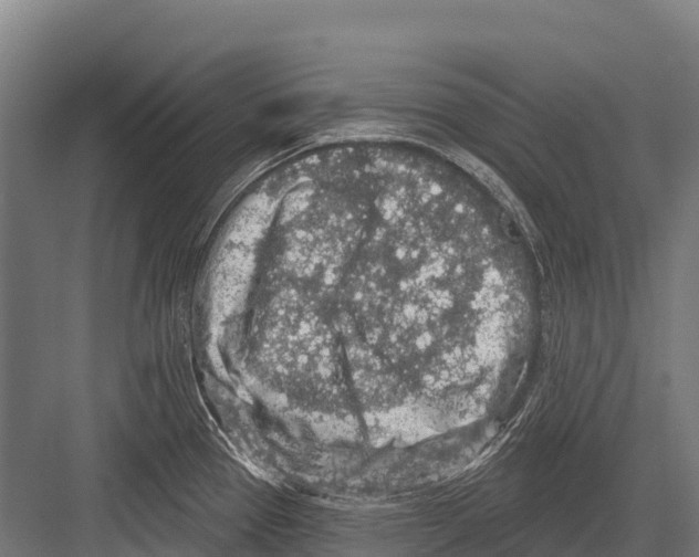 X0000081581337200702121438