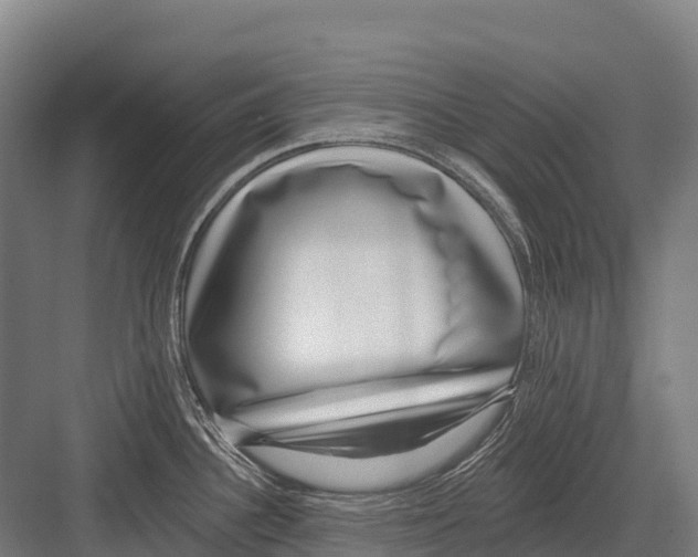 X0000081581340200702121438