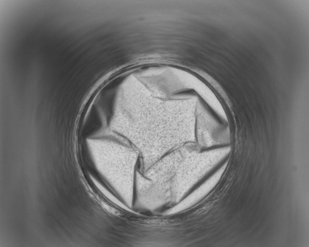 X0000081581341200702121438