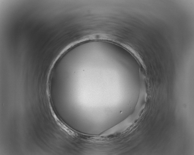 X0000081581342200702121438